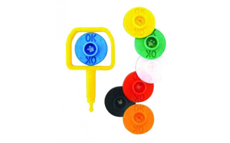 Chubb-type pin and OK indicator