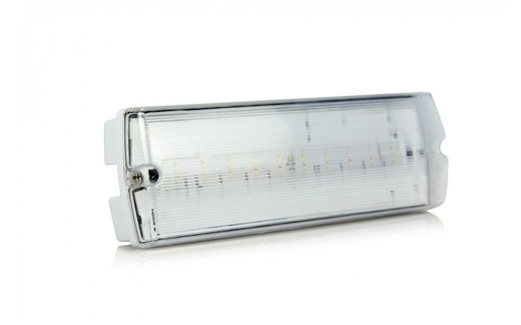 Firechief 4W LED Emergency IP65 bulkhead switchable