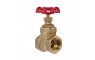 25mm Gate Valve