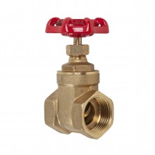 25mm Gate Valve