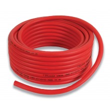 Firechief Fire Hose (30m) - FH25/30