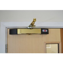 Agrippa digital door closer - Brass Finish