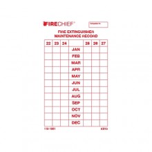 Tie-on Extinguisher Service Tag 2022 dated, Maintenance Record